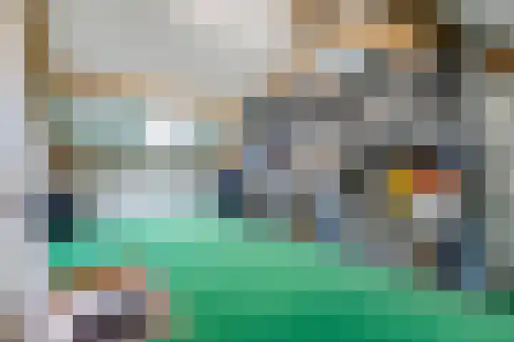 Tywert 24 Wommels thumbnail 39