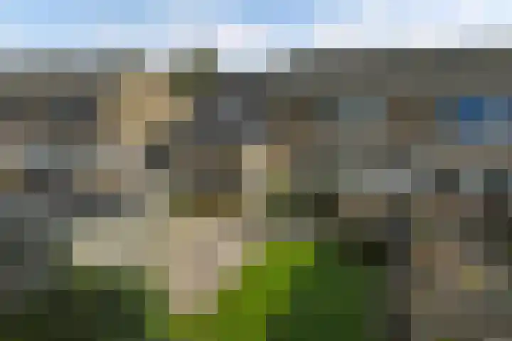 Tywert 24 Wommels thumbnail 47