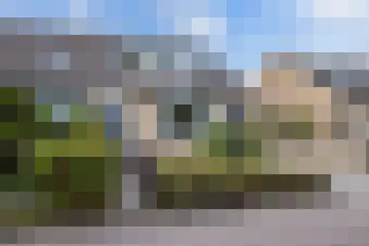 Tywert 24 Wommels thumbnail 50