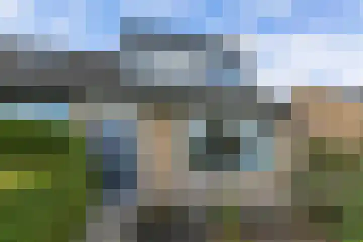 Tywert 24 Wommels thumbnail 9