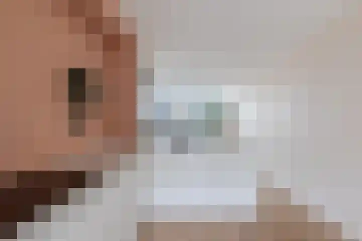 Tywert 6 Wommels thumbnail 15