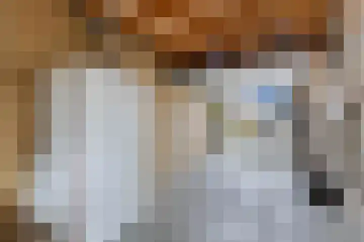 Tywert 6 Wommels thumbnail 20