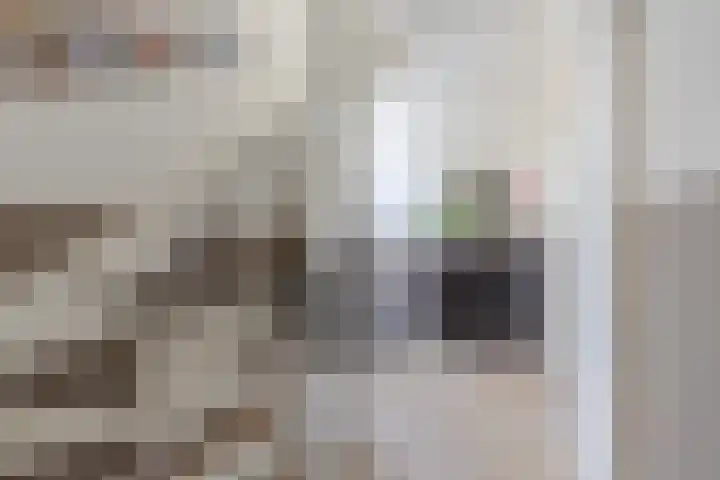 Tywert 6 Wommels thumbnail 22