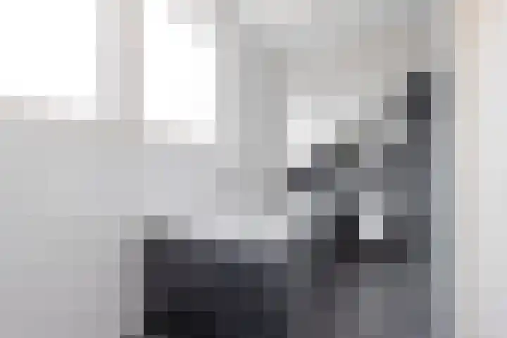 Tywert 6 Wommels thumbnail 32
