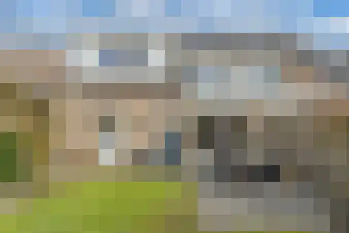Tywert 6 Wommels thumbnail 40