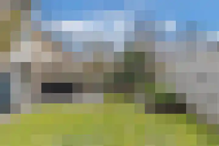 Tywert 6 Wommels thumbnail 43