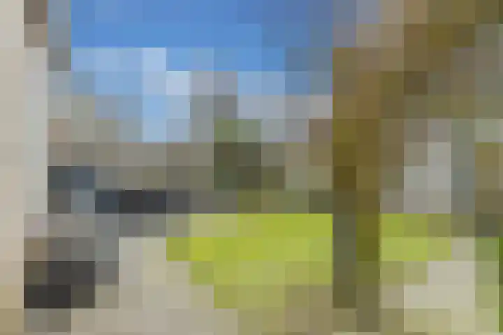 Tywert 6 Wommels thumbnail 45