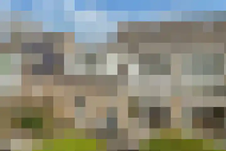 Tywert 6 Wommels thumbnail 47