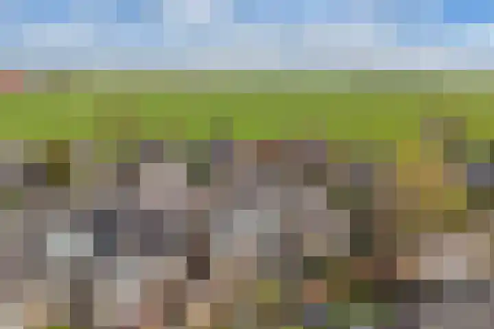 Tywert 6 Wommels thumbnail 51