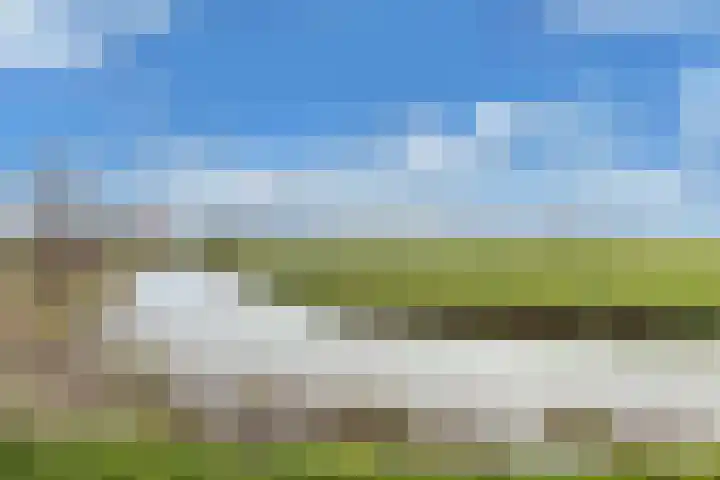 Tywert 6 Wommels thumbnail 52