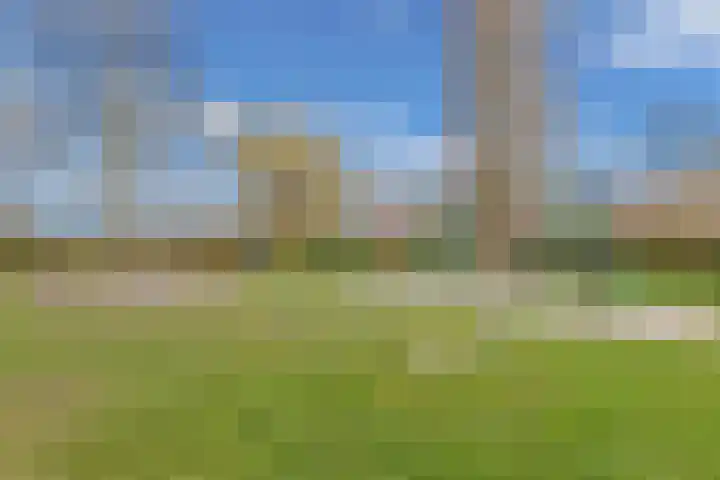 Tywert 6 Wommels thumbnail 54