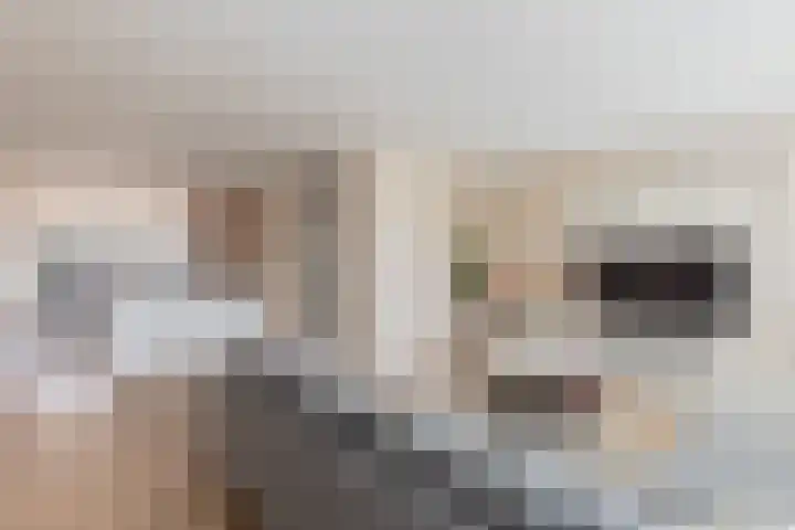 Tywert 6 Wommels thumbnail 7