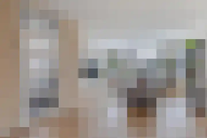 Tywert 6 Wommels thumbnail 8