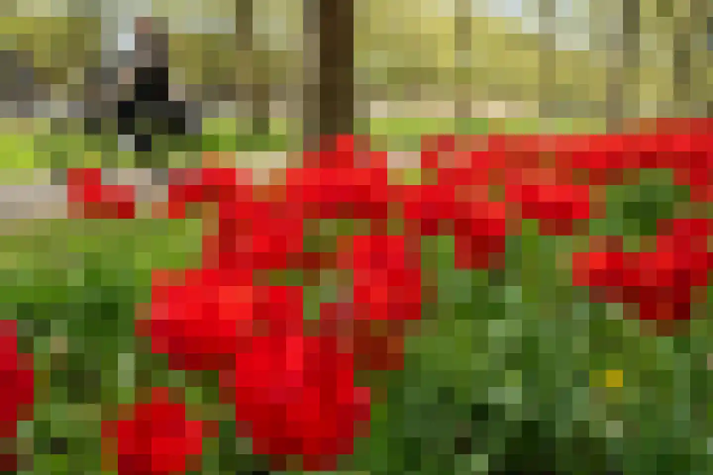 Ubachsberg 29 De Meern thumbnail 27