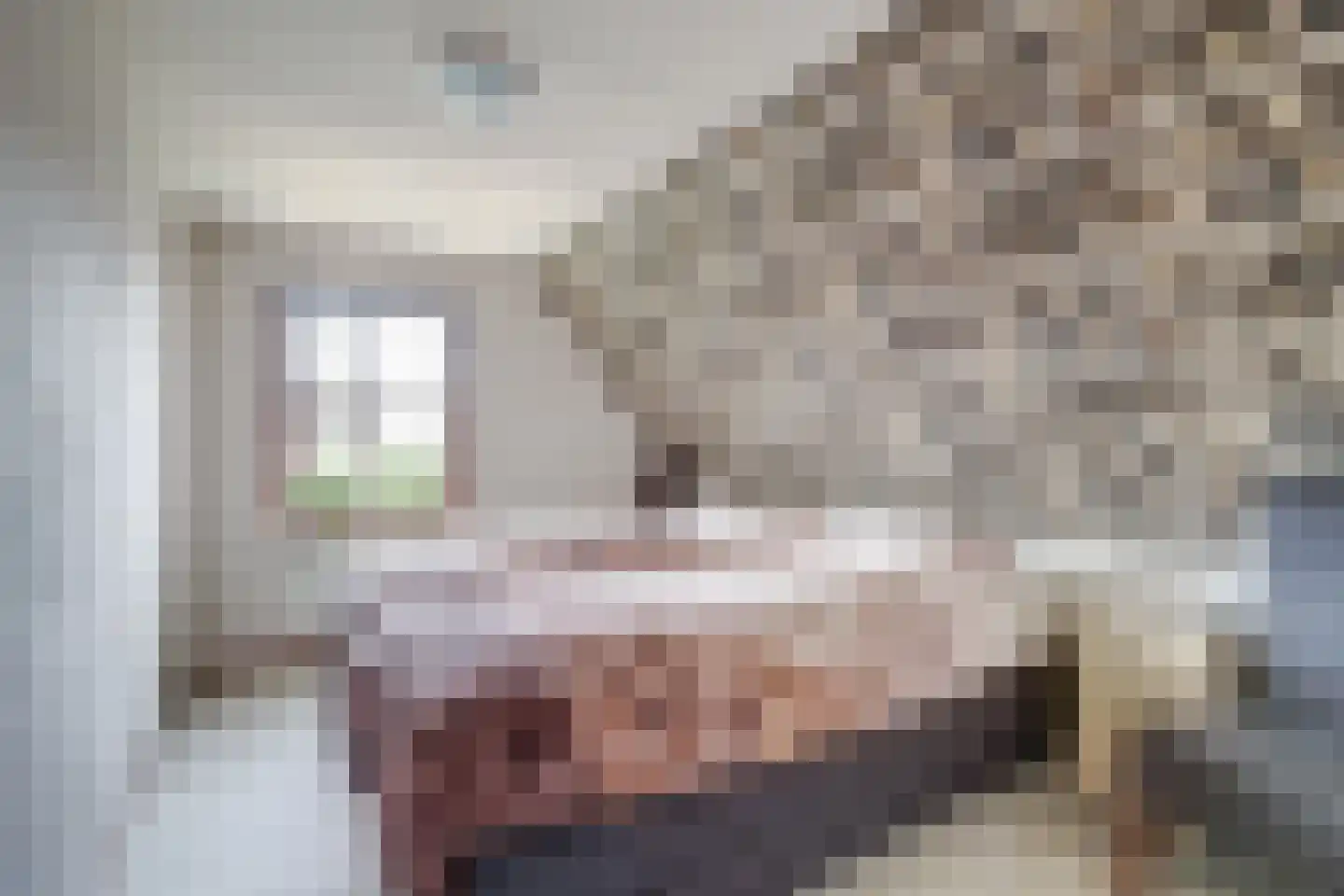 Uddelerweg 44 Elspeet thumbnail 21