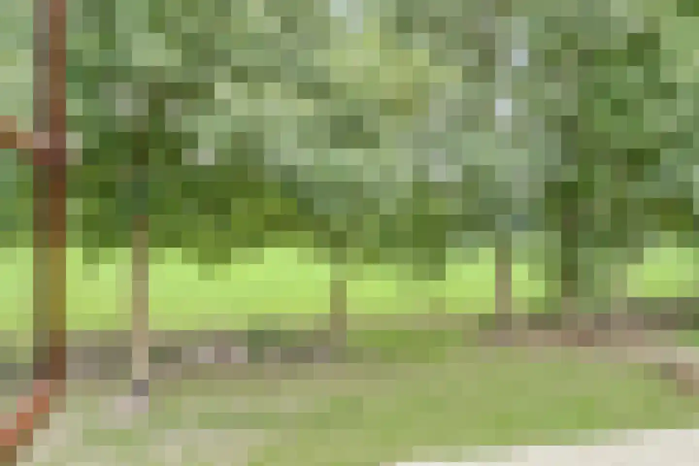 Uddelerweg 44 Elspeet thumbnail 24