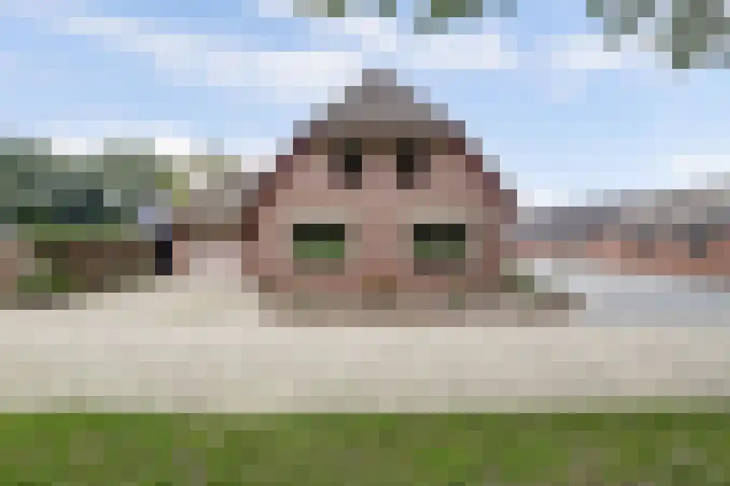 Uddelerweg 44 Elspeet thumbnail 4