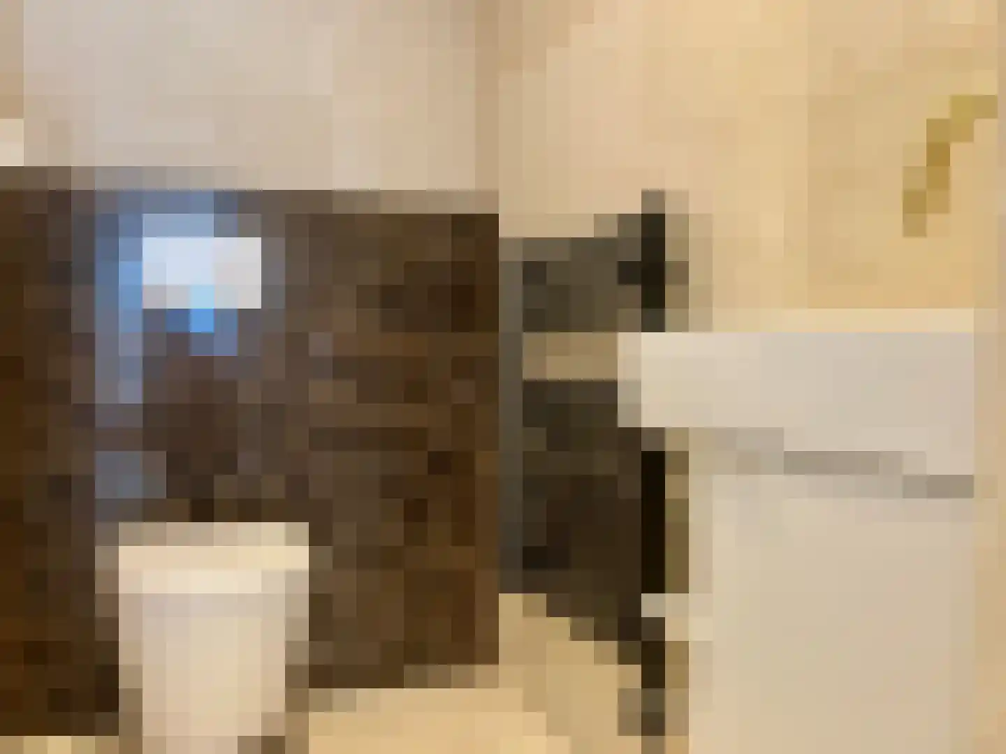 Uddelerweg 44 Elspeet thumbnail 44