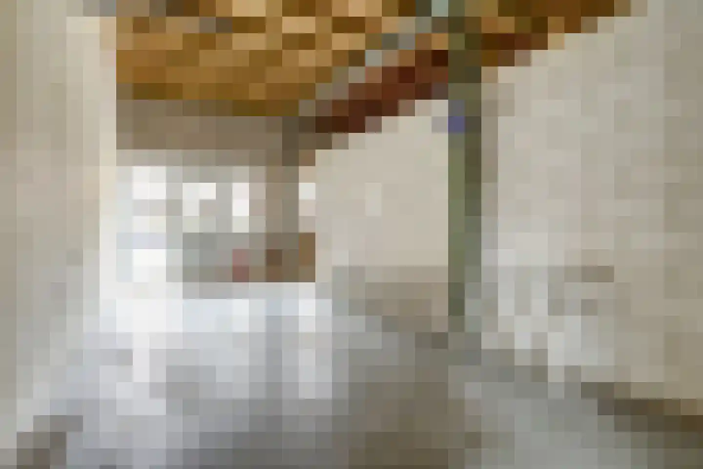 Uddelerweg 44 Elspeet thumbnail 55