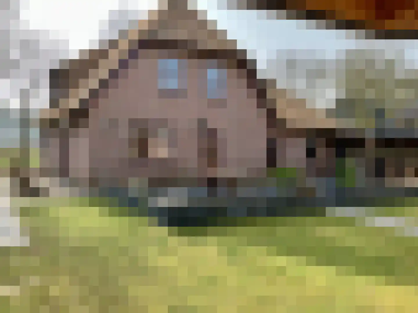 Uddelerweg 44 Elspeet thumbnail 65