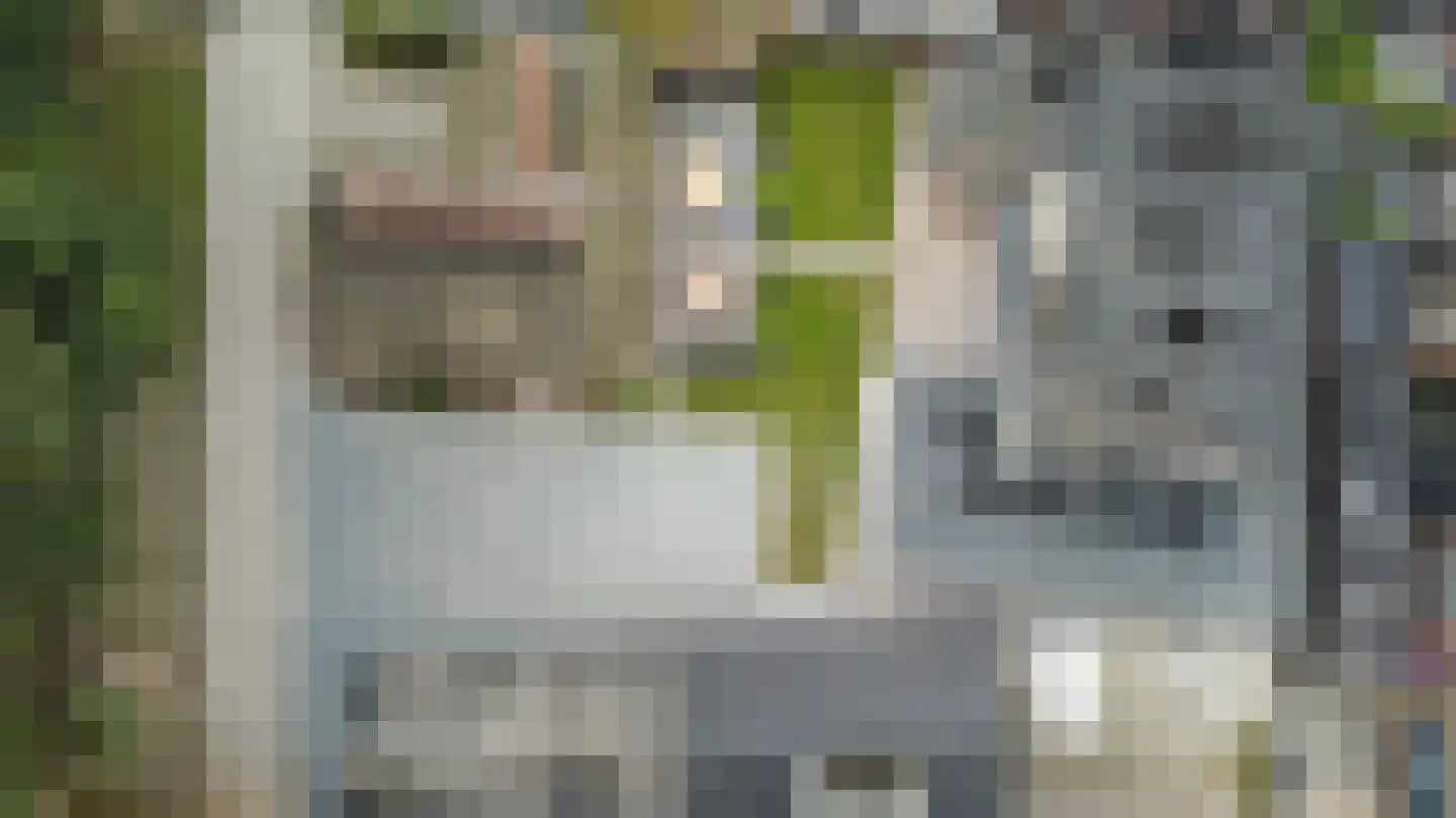 Uddelerweg 44 Elspeet thumbnail 68