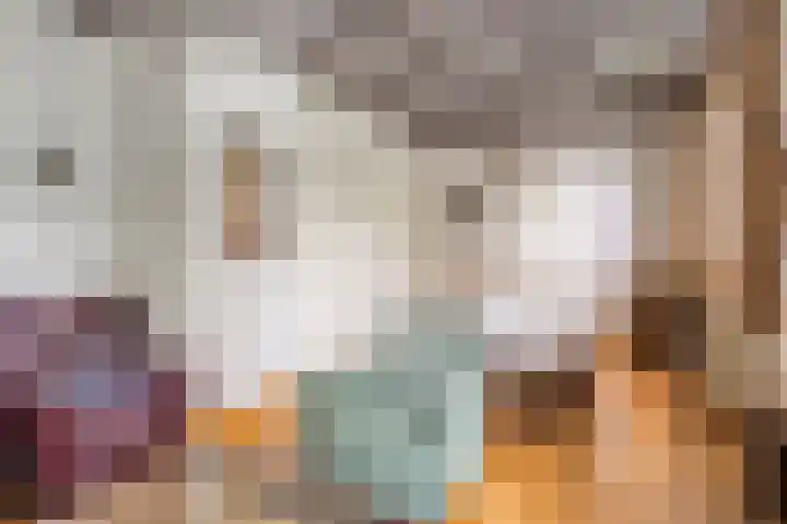 Udenseweg 24 Zeeland thumbnail 18