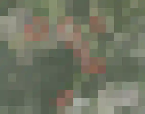 Udenseweg 24 Zeeland thumbnail 4