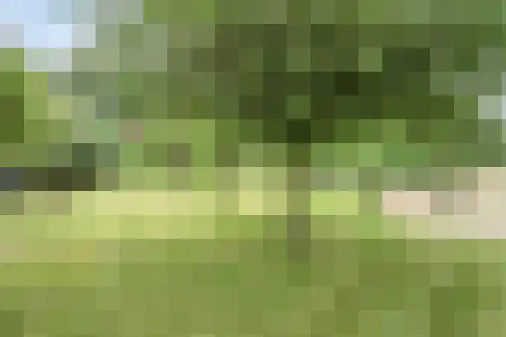 Udenseweg 24 Zeeland thumbnail 56