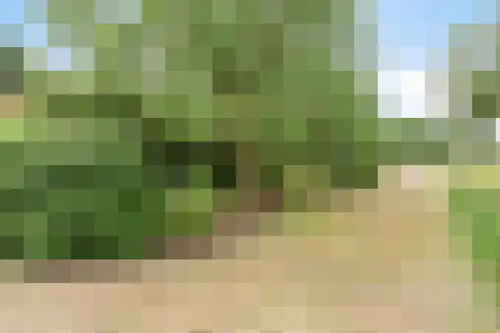 Udenseweg 24 Zeeland thumbnail 58