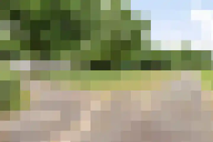 Udenseweg 24 Zeeland thumbnail 59