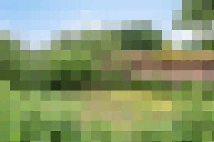 Udenseweg 24 Zeeland thumbnail 61