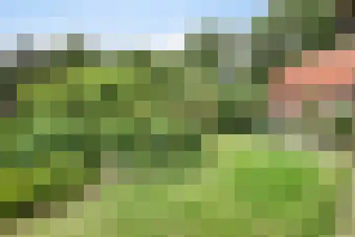 Udenseweg 24 Zeeland thumbnail 63