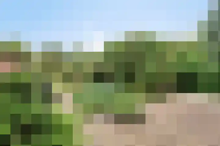 Udenseweg 24 Zeeland thumbnail 65