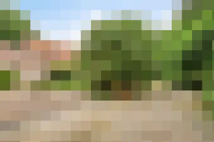 Udenseweg 24 Zeeland thumbnail 66