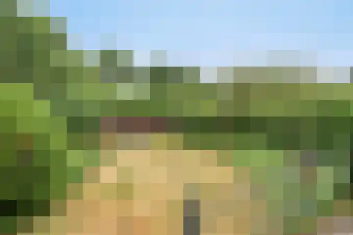 Udenseweg 24 Zeeland thumbnail 68