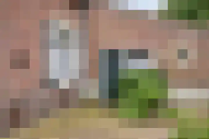 Udenseweg 24 Zeeland thumbnail 81