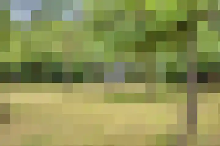 Udenseweg 24 Zeeland thumbnail 83