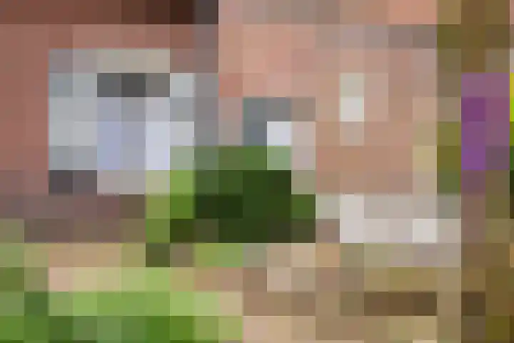Udenseweg 24 Zeeland thumbnail 84