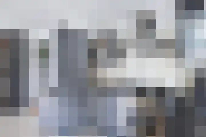 Uilenburg 30 IJlst thumbnail 17