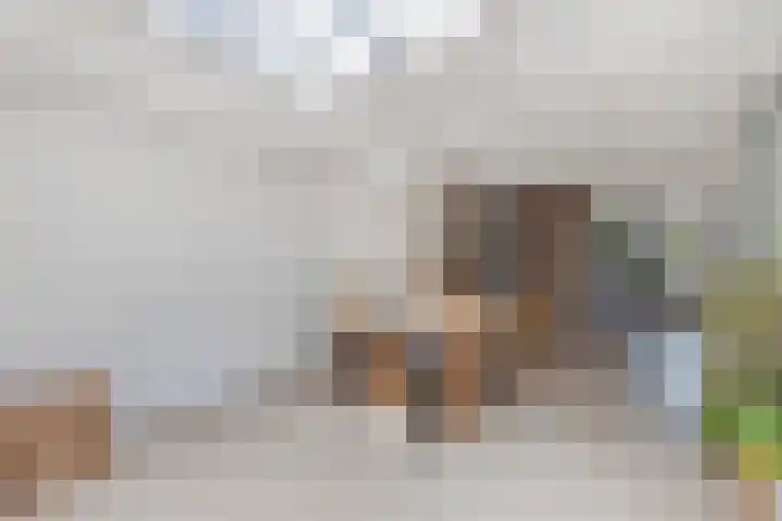 Uilenburg 30 IJlst thumbnail 23