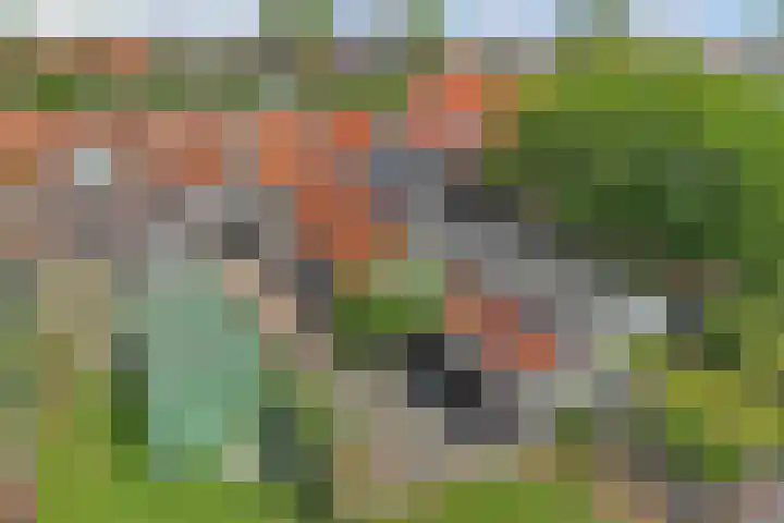 Uilenburg 30 IJlst thumbnail 37
