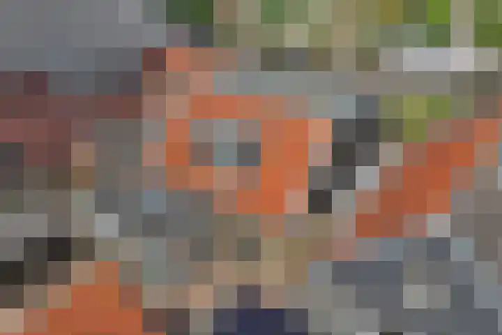 Uilenburg 30 IJlst thumbnail 40
