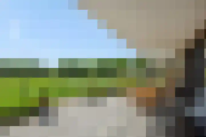 Uilenburg 5 Hedel thumbnail 12
