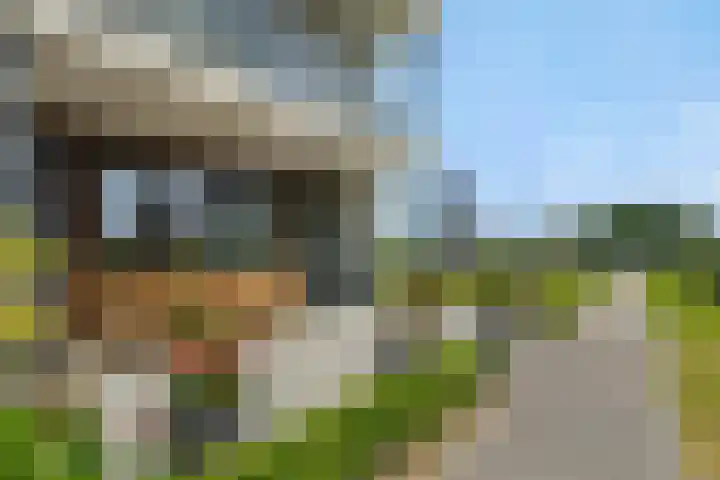 Uilenburg 5 Hedel thumbnail 14