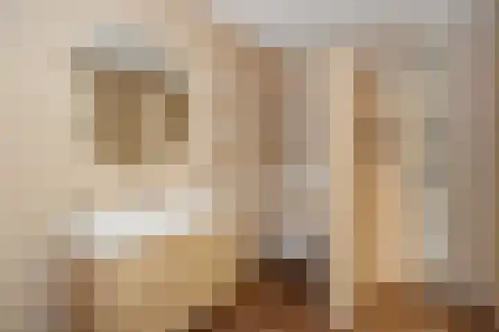 Uilenburg 5 Hedel thumbnail 21