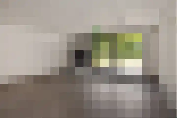 Uilenburg 5 Hedel thumbnail 22