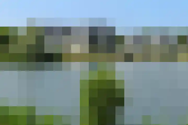 Uilenburg 5 Hedel thumbnail 24