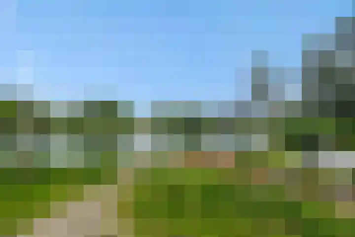 Uilenburg 5 Hedel thumbnail 25