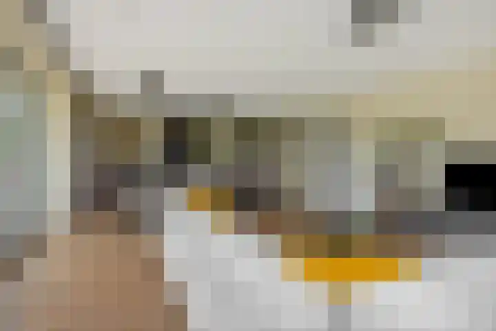 Uilenburg 5 Hedel thumbnail 4