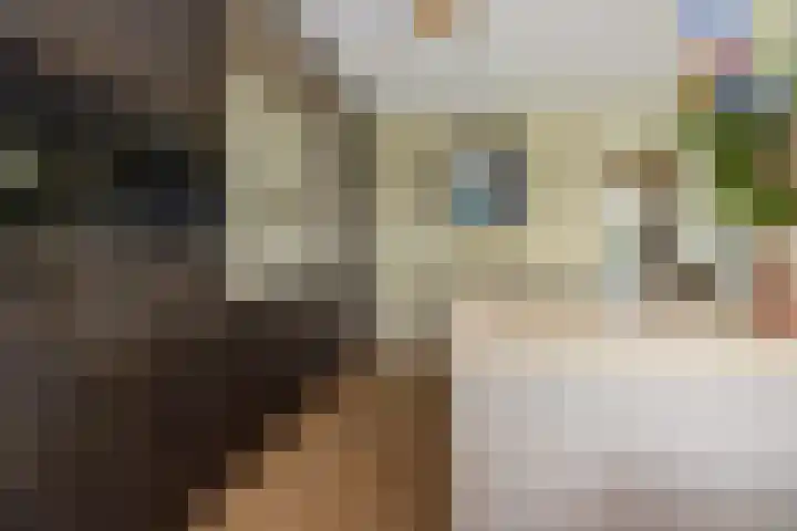 Uilenburg 5 Hedel thumbnail 8